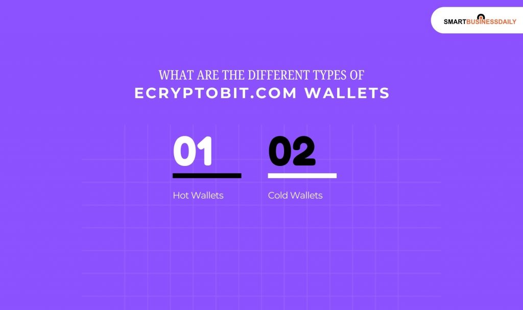 What Are The Different Types Of Ecryptobit.Com Wallets