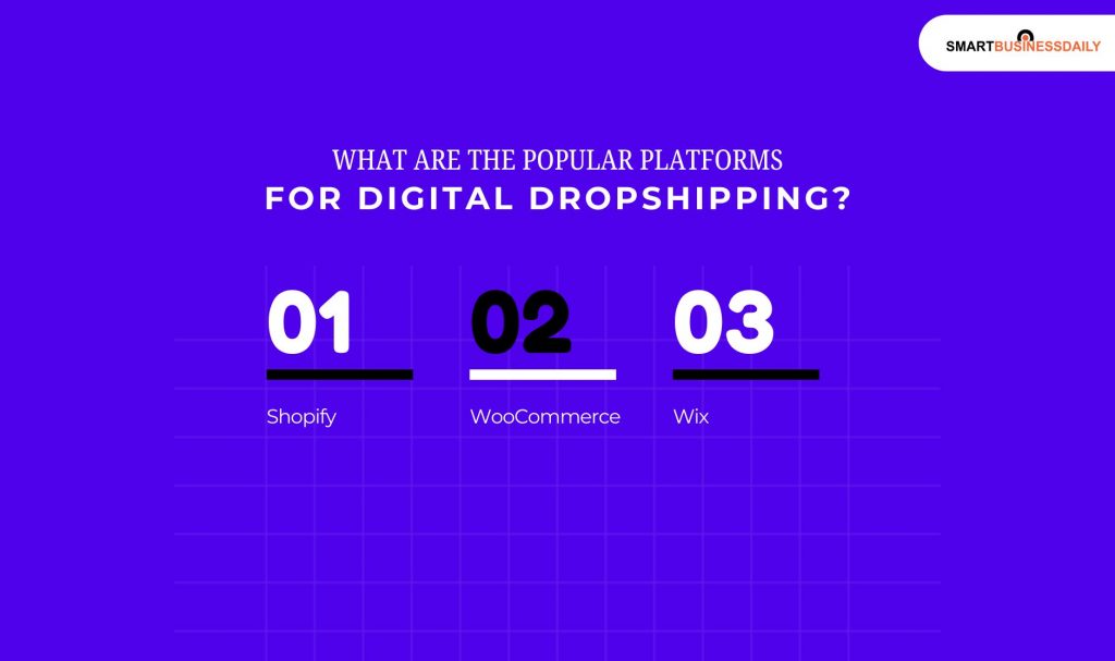 What Are The Popular Platforms For Digital Dropshipping