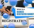 What is a business registration number