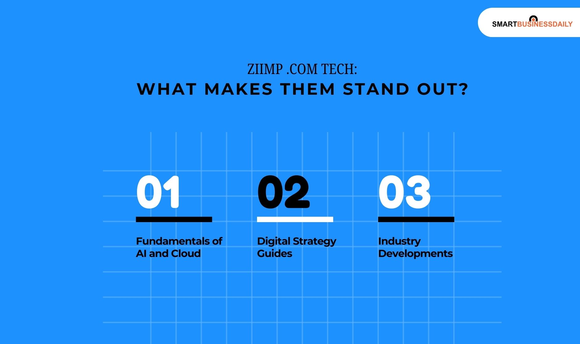 Ziimp .com Tech_ What Makes Them Stand Out