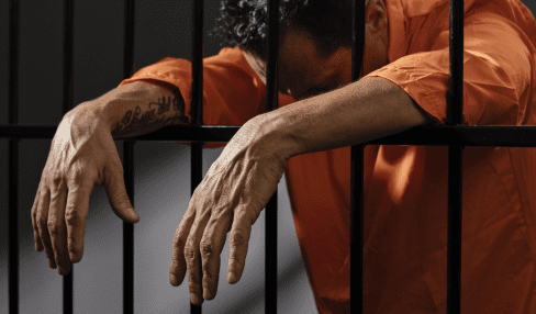 wildlife violations penalties